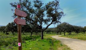 Personas invidentes realizarn una ruta senderista accesible en el entorno de Monfrage