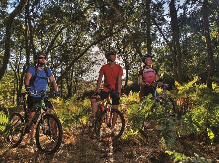 Descubriendo los Secretos del Ciclismo y las Bicicletas Elctricas en Espaa