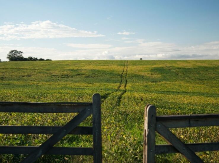 Digitalizacin en la agricultura oportunidades y retos