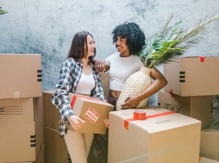 Mudanzas internacionales consejos y servicios para traslados seguros y eficientes