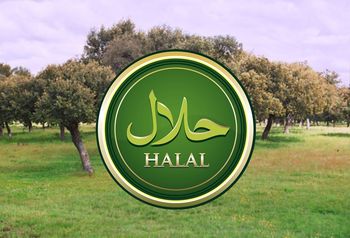 Extremadura y el rito Halal